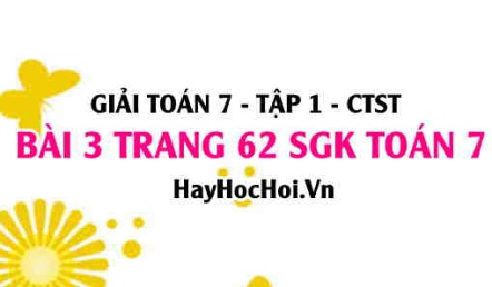 Giải bài 3 trang 62 Toán 7 Tập 1 SGK Chân trời sáng tạo